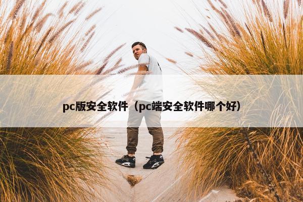 pc版安全软件（pc端安全软件哪个好）