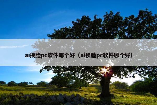 ai换脸pc软件哪个好（ai换脸pc软件哪个好）