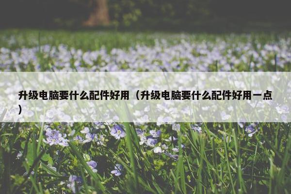 升级电脑要什么配件好用（升级电脑要什么配件好用一点）