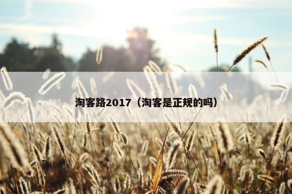 淘客路2017（淘客是正规的吗）