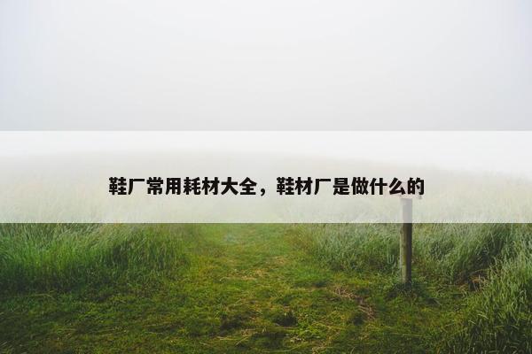 鞋厂常用耗材大全，鞋材厂是做什么的