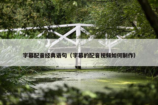 字幕配音经典语句（字幕的配音视频如何制作）