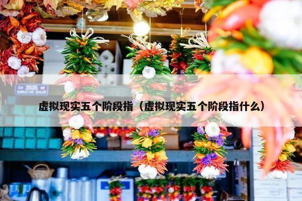 虚拟现实五个阶段指（虚拟现实五个阶段指什么）