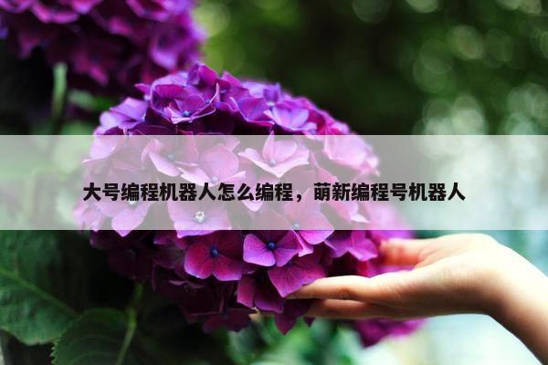 大号编程机器人怎么编程，萌新编程号机器人