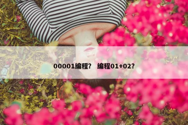 00001编程？ 编程01+02？