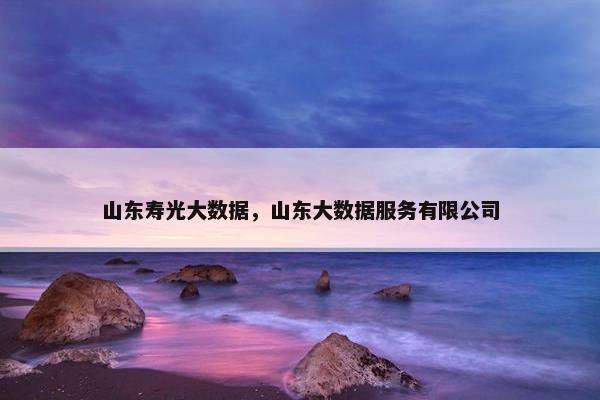 山东寿光大数据，山东大数据服务有限公司