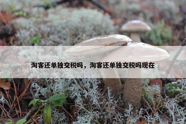 淘客还单独交税吗，淘客还单独交税吗现在