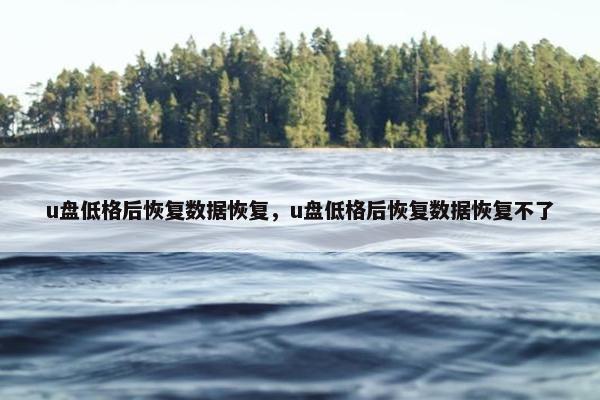 u盘低格后恢复数据恢复，u盘低格后恢复数据恢复不了