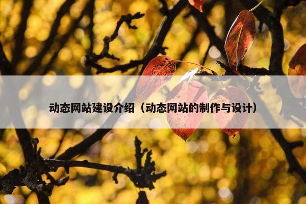 动态网站建设介绍（动态网站的制作与设计）