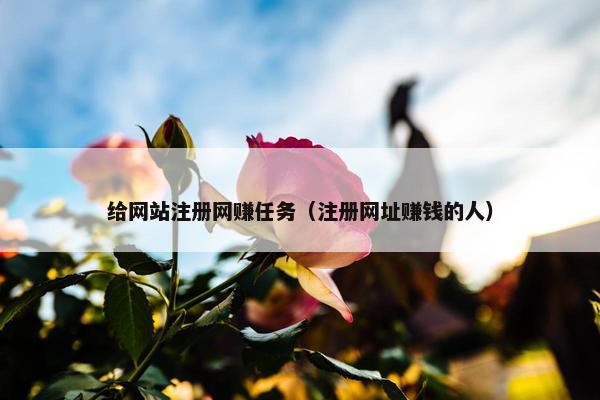 给网站注册网赚任务（注册网址赚钱的人）