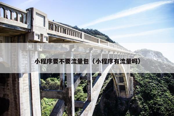 小程序要不要流量包（小程序有流量吗）