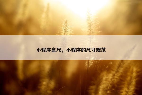 小程序盒尺，小程序的尺寸规范