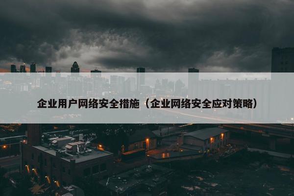 企业用户网络安全措施（企业网络安全应对策略）