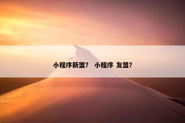 小程序新盟？ 小程序 友盟？