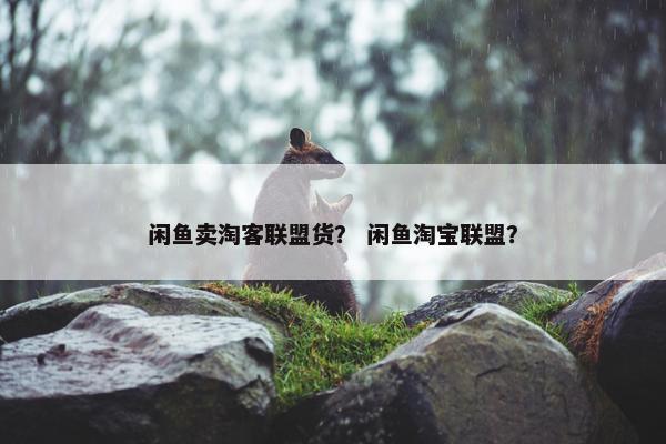 闲鱼卖淘客联盟货？ 闲鱼淘宝联盟？