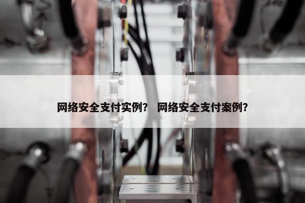 网络安全支付实例？ 网络安全支付案例？