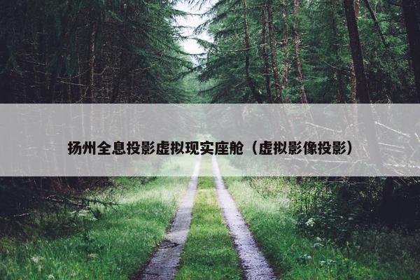 扬州全息投影虚拟现实座舱（虚拟影像投影）