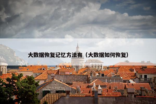 大数据恢复记忆方法有（大数据如何恢复）