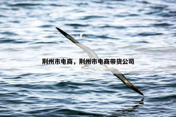 荆州市电商，荆州市电商带货公司