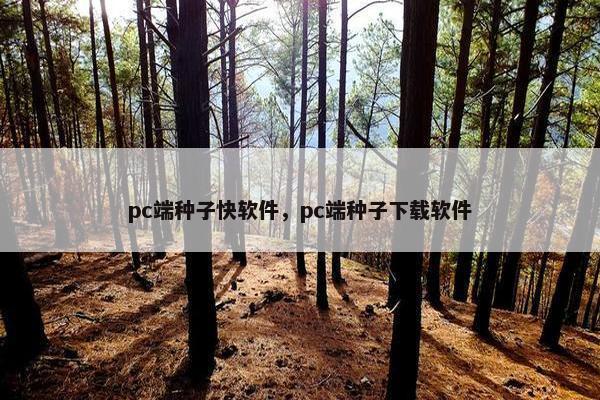 pc端种子快软件，pc端种子下载软件