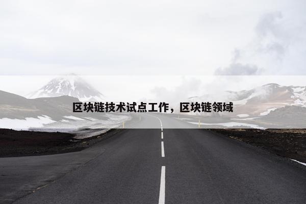 区块链技术试点工作，区块链领域