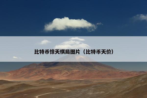 比特币惊天棋局图片（比特币天价）