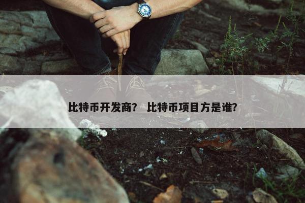 比特币开发商？ 比特币项目方是谁？