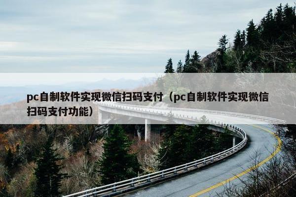 pc自制软件实现微信扫码支付（pc自制软件实现微信扫码支付功能）