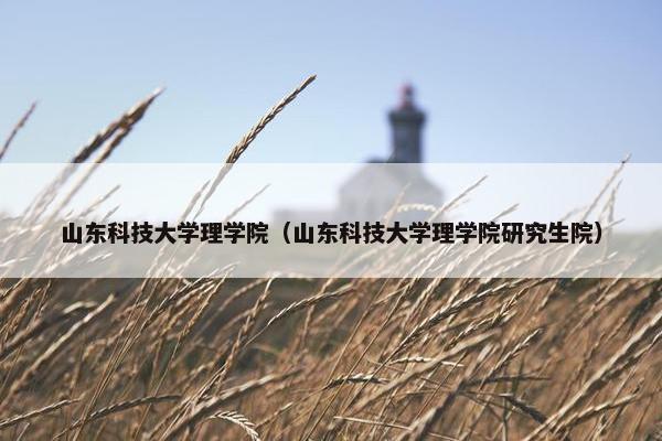 山东科技大学理学院（山东科技大学理学院研究生院）
