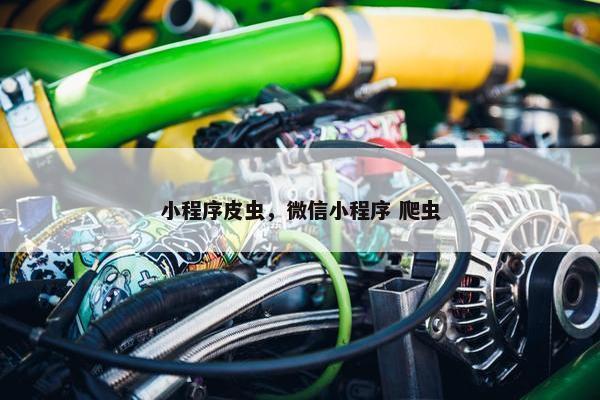 小程序皮虫，微信小程序 爬虫
