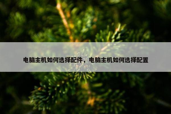 电脑主机如何选择配件，电脑主机如何选择配置
