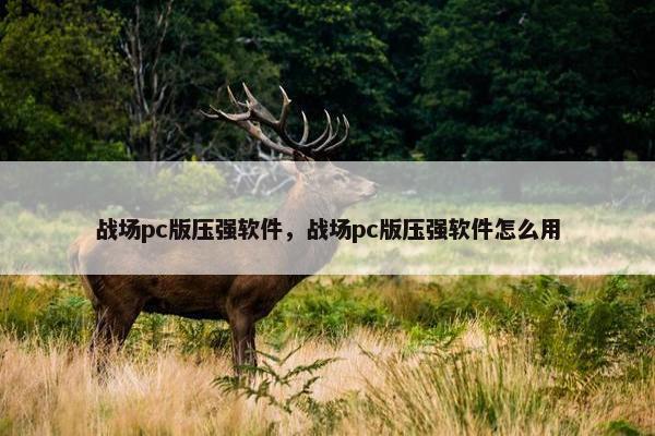 战场pc版压强软件，战场pc版压强软件怎么用