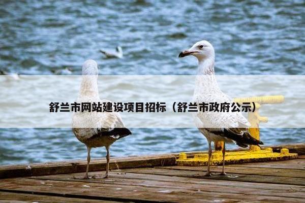 舒兰市网站建设项目招标（舒兰市政府公示）
