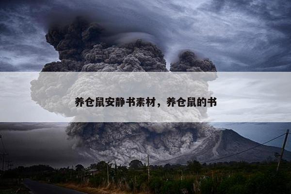 养仓鼠安静书素材，养仓鼠的书