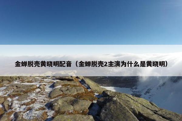 金蝉脱壳黄晓明配音（金蝉脱壳2主演为什么是黄晓明）
