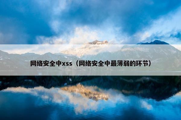 网络安全中xss（网络安全中最薄弱的环节）