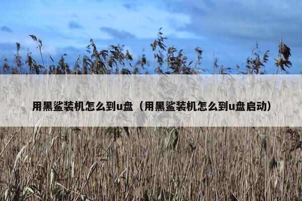 用黑鲨装机怎么到u盘（用黑鲨装机怎么到u盘启动）