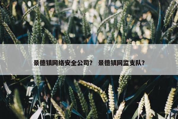 景德镇网络安全公司？ 景德镇网监支队？
