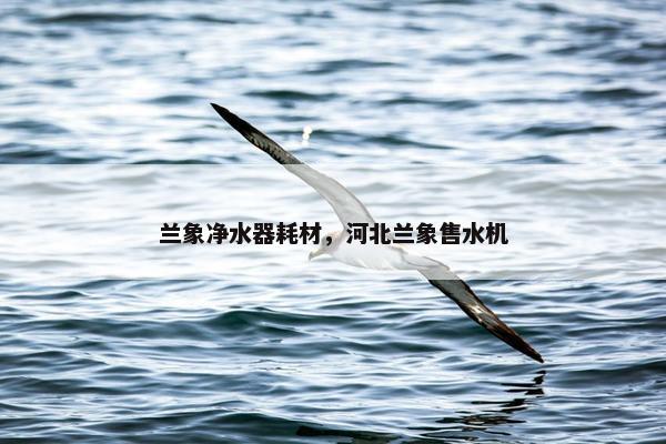 兰象净水器耗材，河北兰象售水机