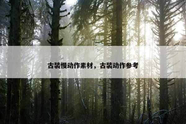 古装慢动作素材，古装动作参考