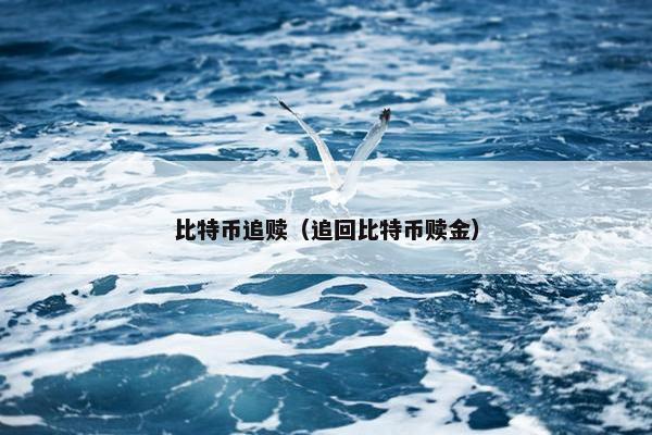 比特币追赎（追回比特币赎金）