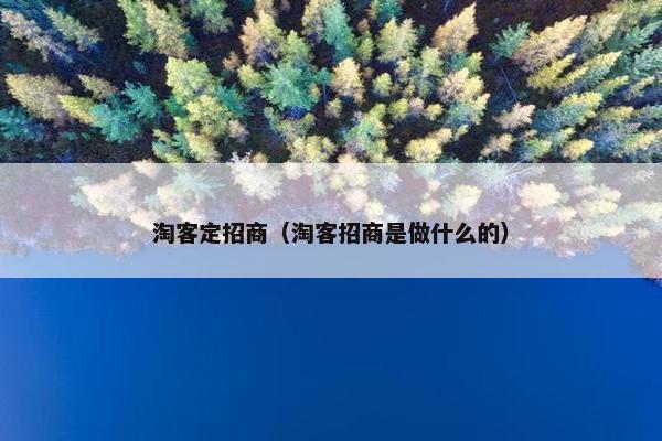 淘客定招商（淘客招商是做什么的）