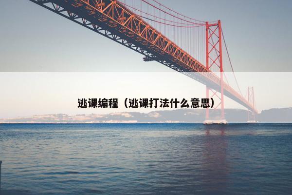 逃课编程（逃课打法什么意思）