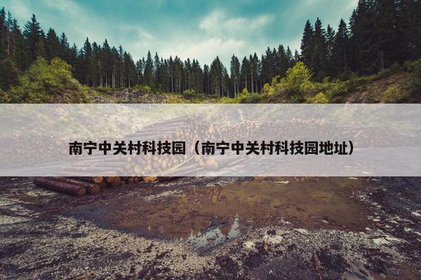 南宁中关村科技园（南宁中关村科技园地址）