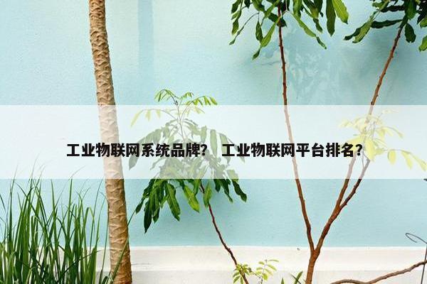 工业物联网系统品牌？ 工业物联网平台排名？