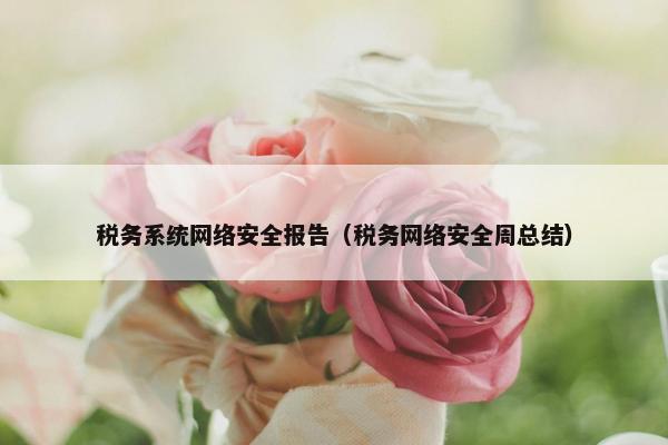 税务系统网络安全报告（税务网络安全周总结）