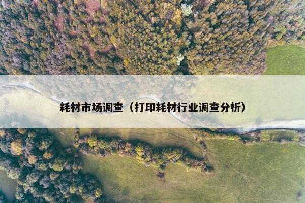 耗材市场调查（打印耗材行业调查分析）