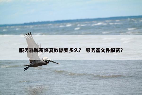 服务器解密恢复数据要多久？ 服务器文件解密？
