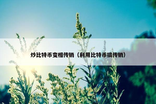 炒比特币变相传销（利用比特币搞传销）