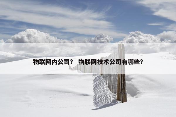 物联网内公司？ 物联网技术公司有哪些？